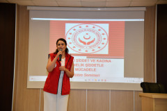 AİLE İÇİ ŞİDDET VE  KADINA YÖNELİK ŞİDDETLE MÜCADELE